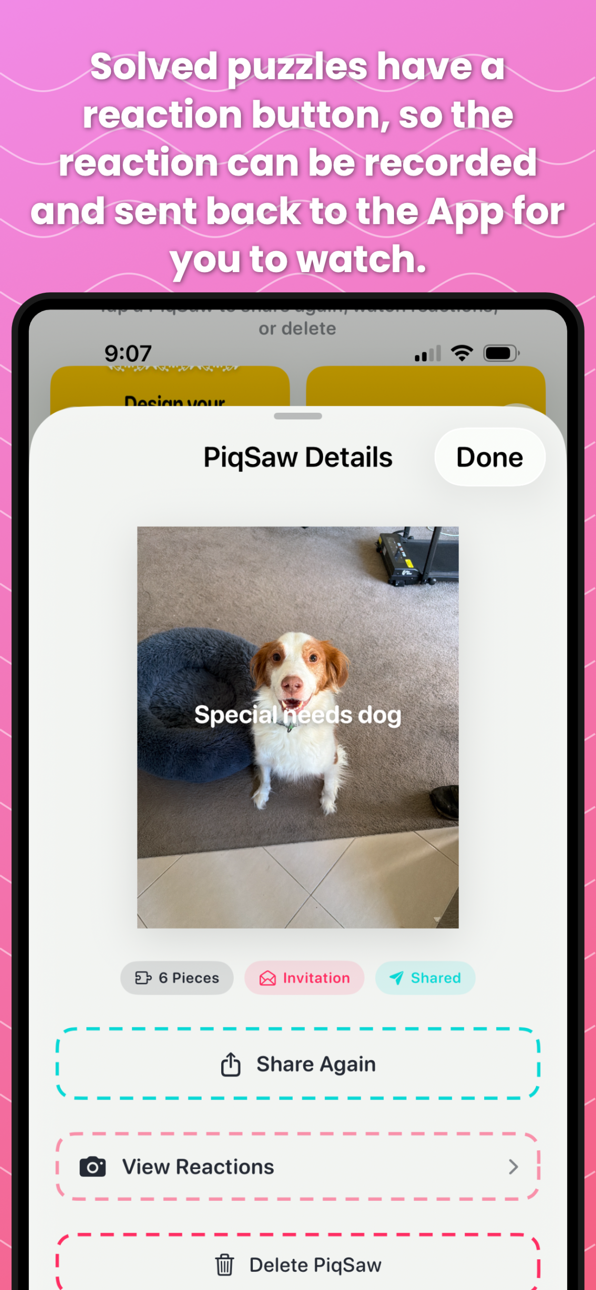 PiqSaw Screenshot 7